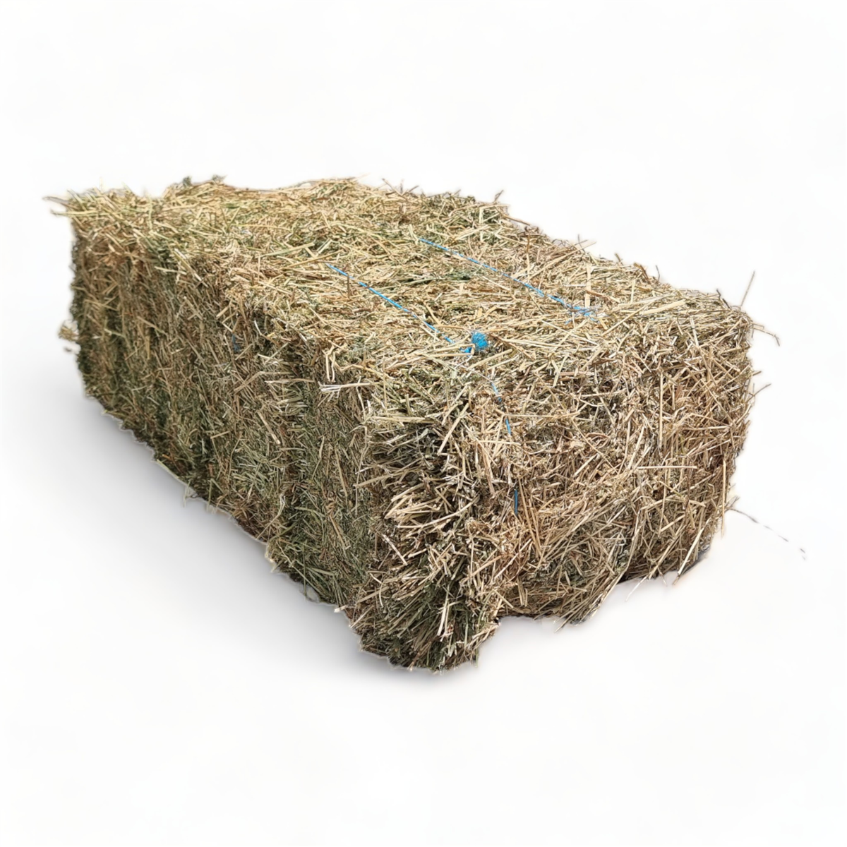 Hay Bale - Lucerne Hay