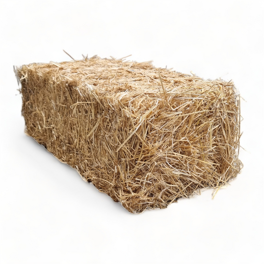 Hay Bale - Wheat Straw