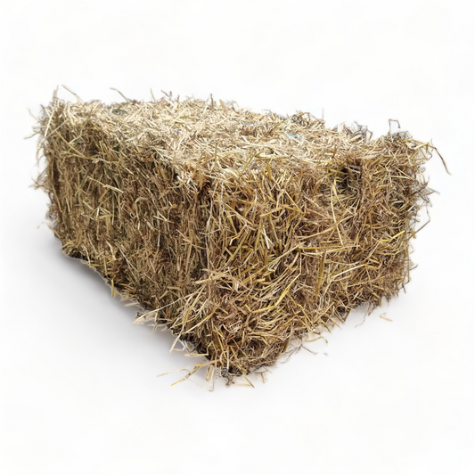 Hay Bale - Grass/Pasture Hay